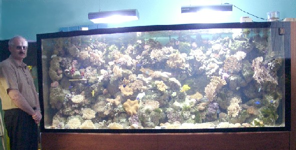 Салон-магазин "Морской аквариум". Чистопрудный бульвар 14