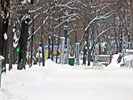 Покровский бульвар. Декабрь 2011