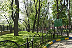 Милютинский парк. Май 2012