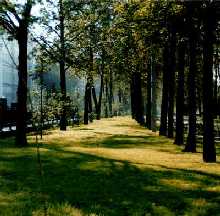 Покровский бульвар (север). 2000-й год