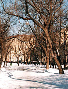 Покровский бульвар (южная часть). Февраль 2003г.