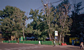 Сквер на месте церкви Успения на Покровке. Июль 2003